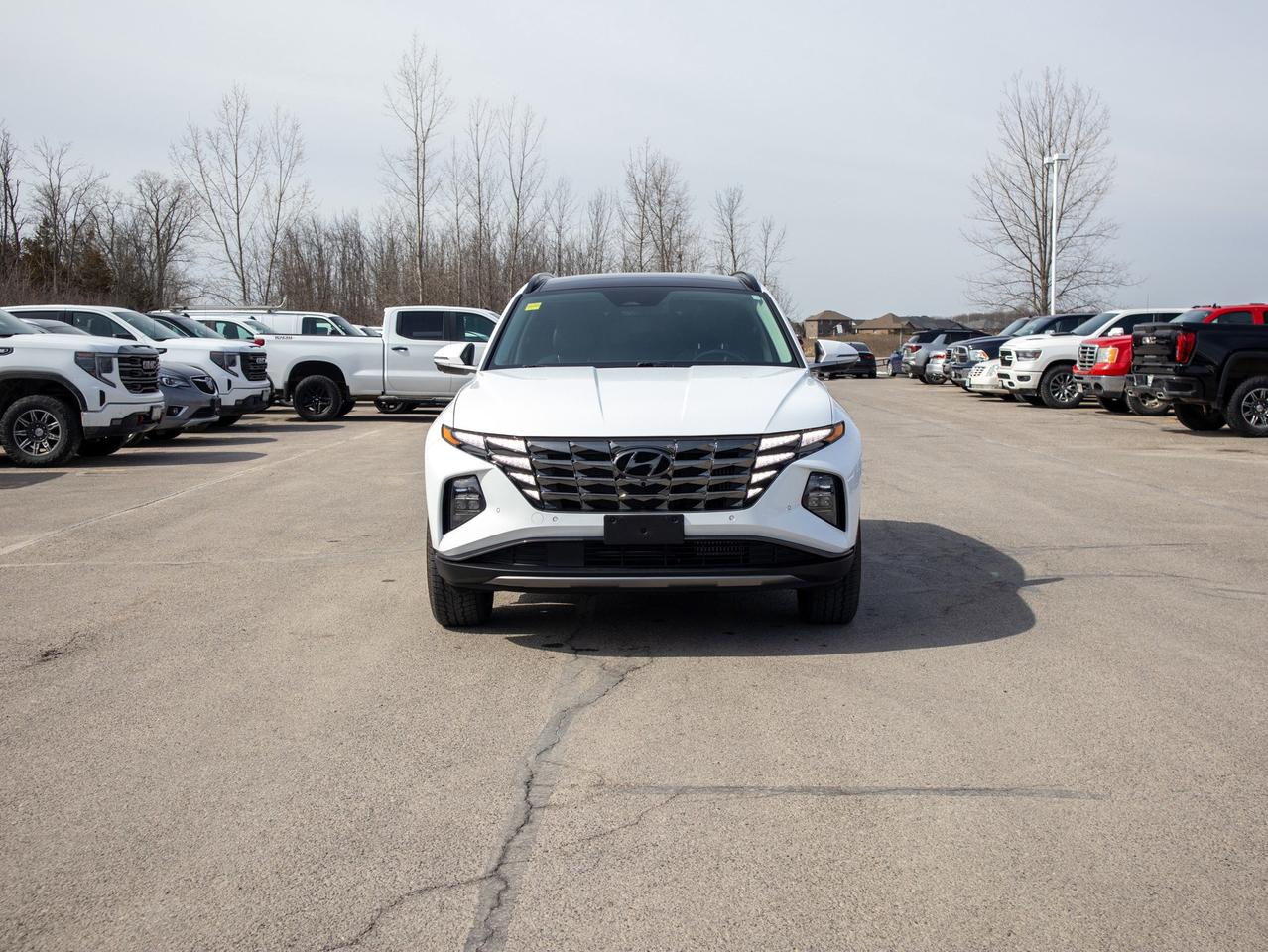 2024 Hyundai Tucson Plug-In Hybrid Ultimate - Moonroof Photo2