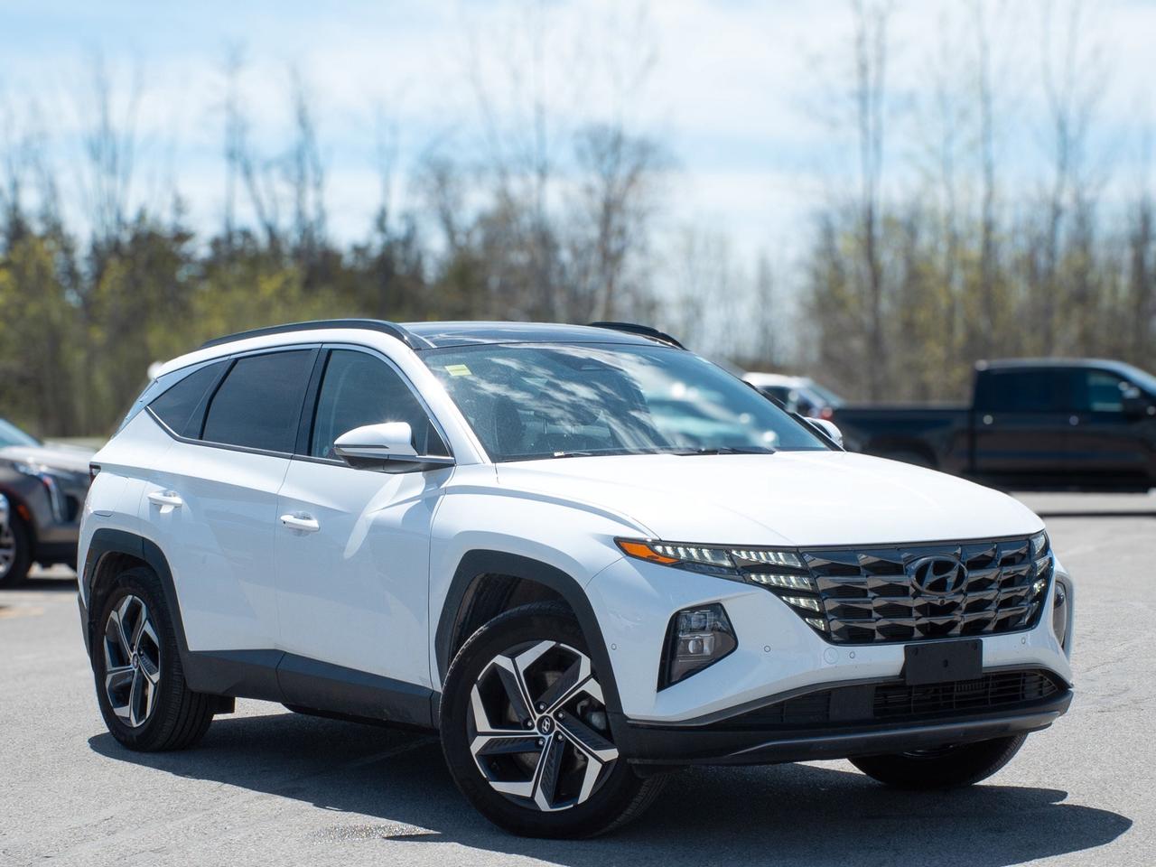 2024 Hyundai Tucson Plug-In Hybrid Ultimate - Moonroof Photo