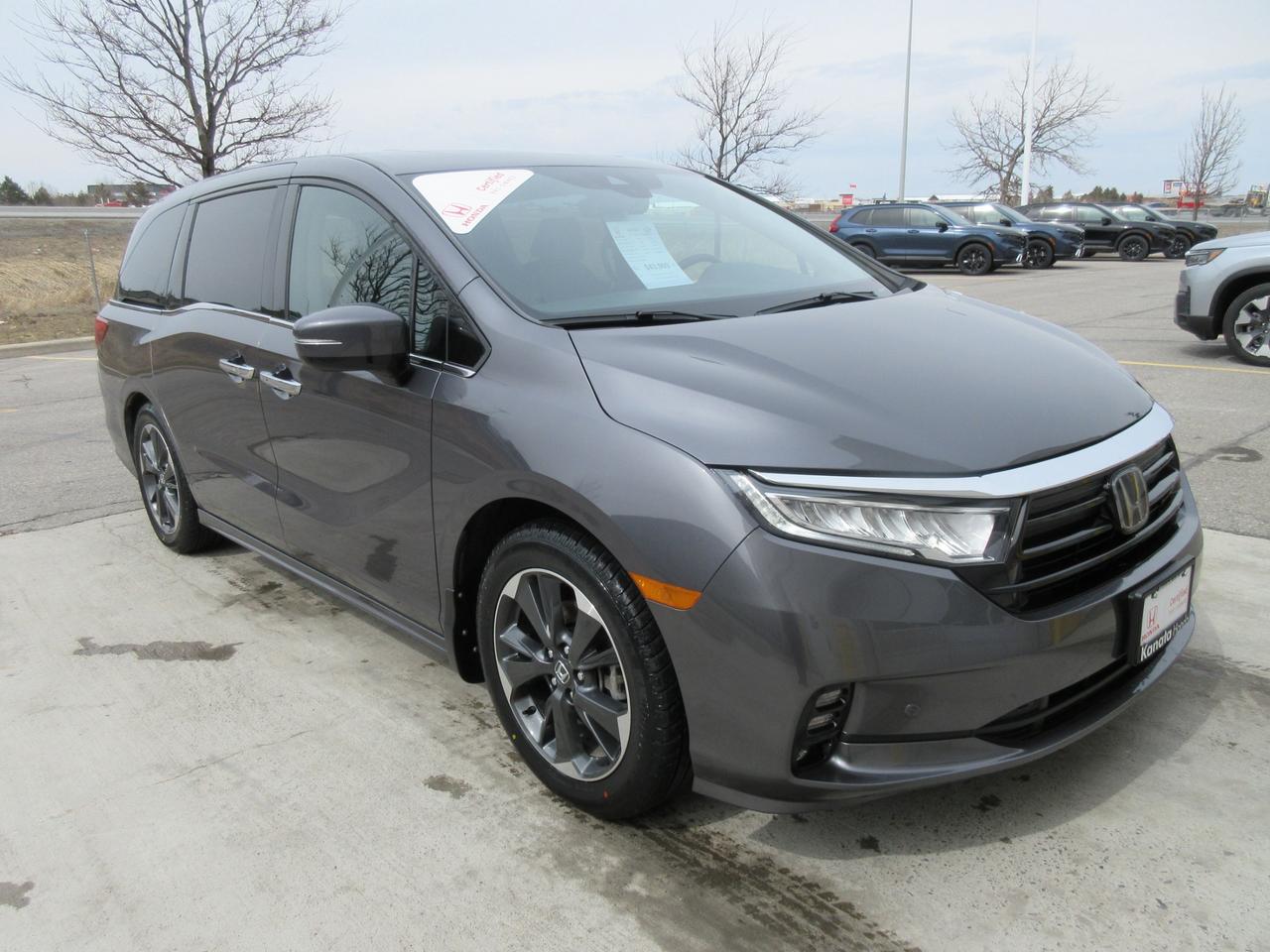 2023 Honda Odyssey Touring Passenger Van Photo