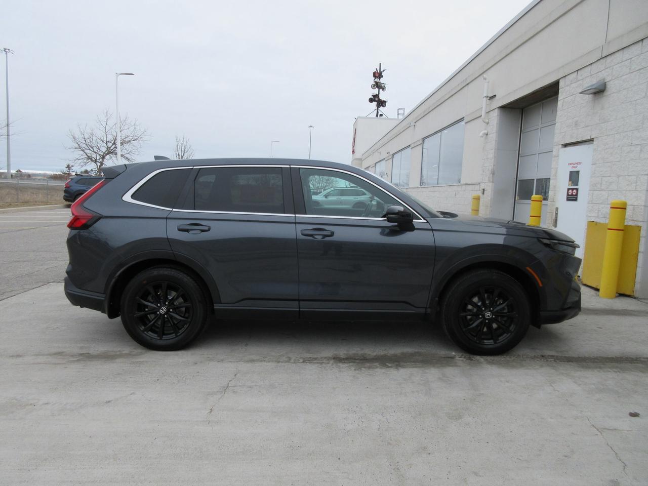 2025 Honda CR-V Hybrid EX-L 4dr All-Wheel Drive Photo3