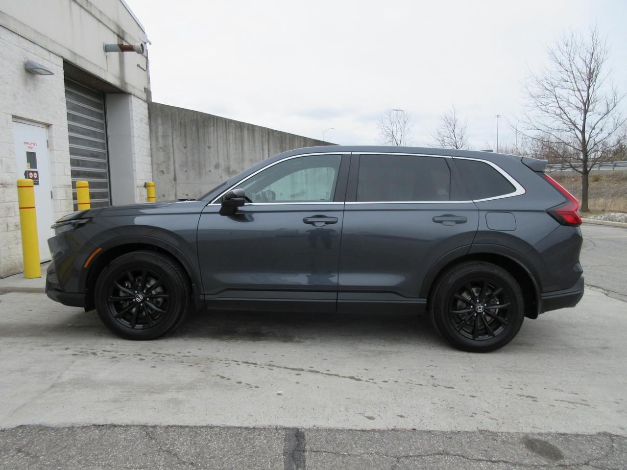 2025 Honda CR-V Hybrid EX-L 4dr All-Wheel Drive Photo