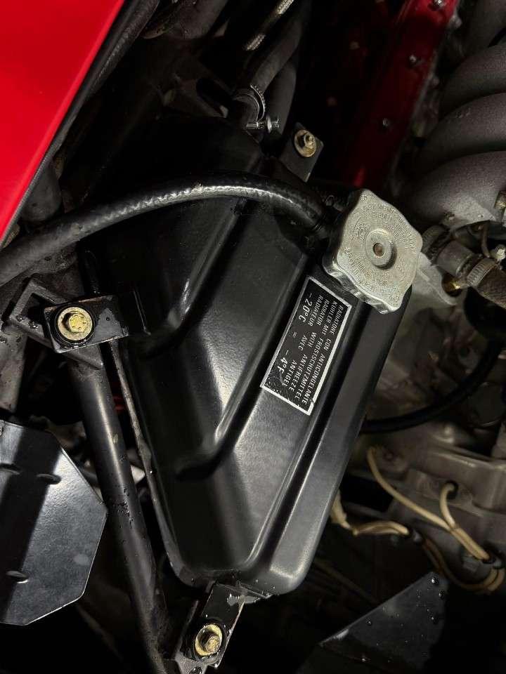 1988 Ferrari Testarossa  Photo