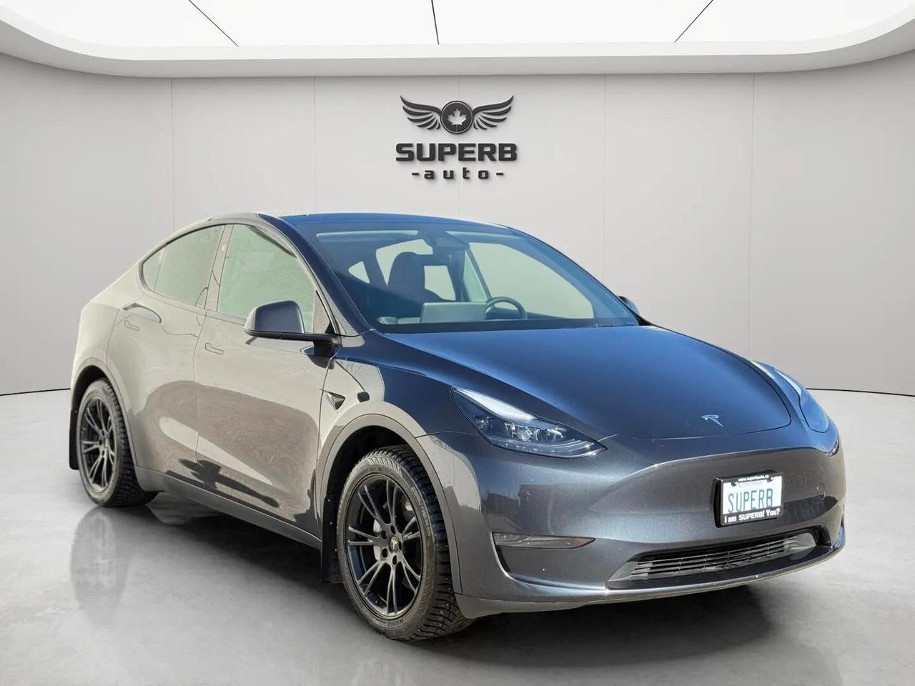 2024 Tesla Model Y STANDARD RANGE   NO ACCIDENT Photo