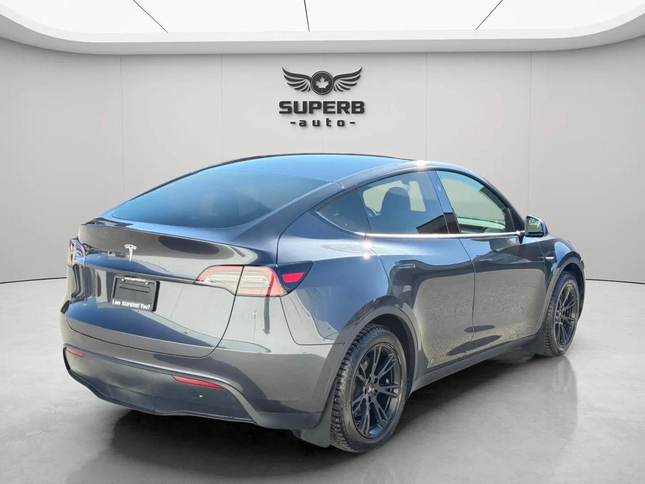 2024 Tesla Model Y STANDARD RANGE   NO ACCIDENT Photo