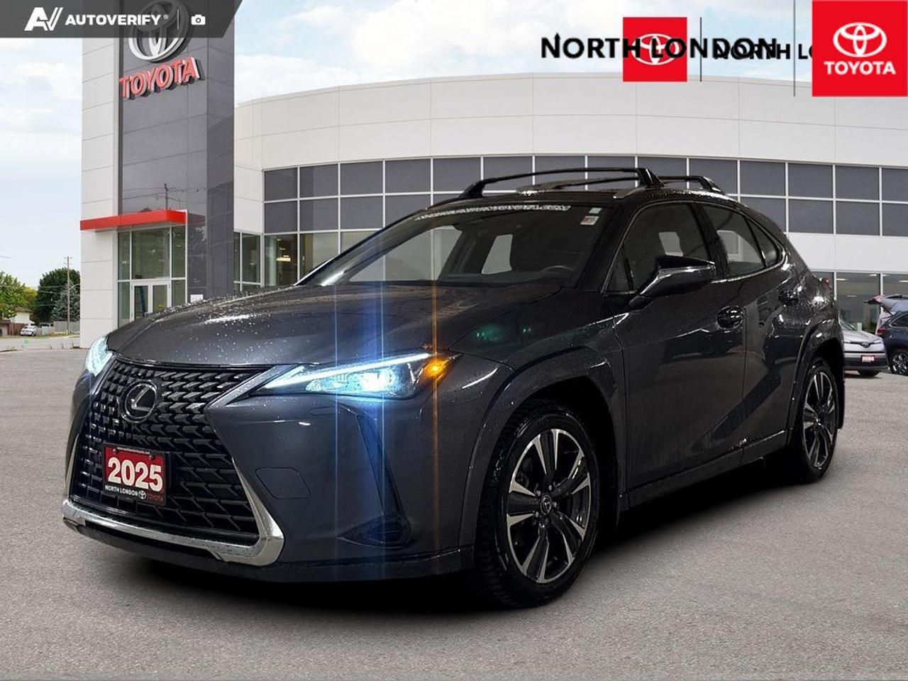 2025 Lexus UX 300H Base 4dr All-Wheel Drive Photo