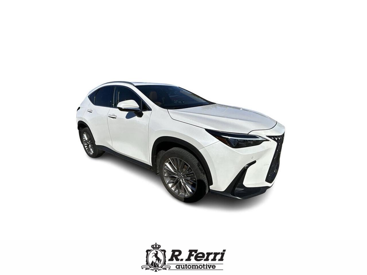 2022 Lexus NX 350  Photo