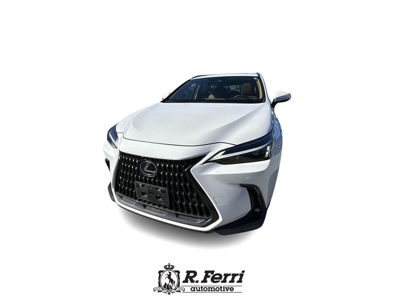 2022 Lexus NX 350  Photo