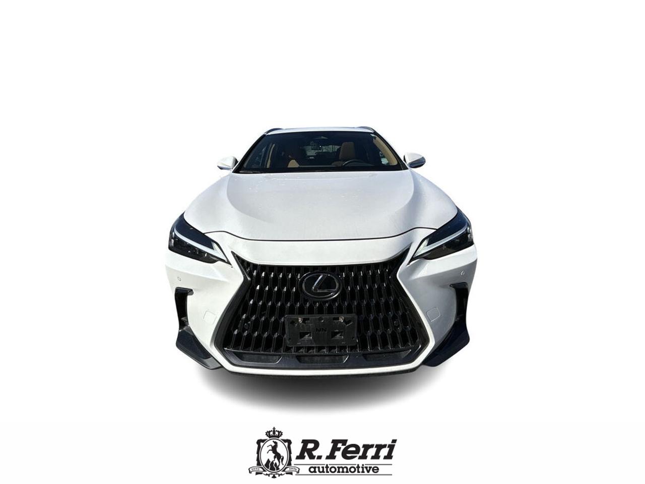 2022 Lexus NX 350  Photo