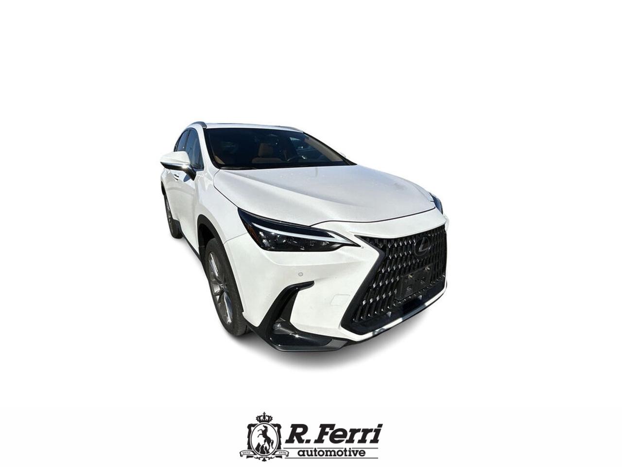 2022 Lexus NX 350  Photo2