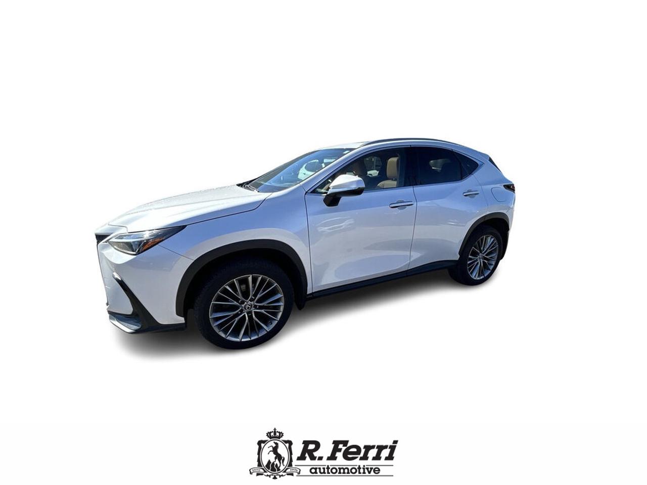 2022 Lexus NX 350  Photo
