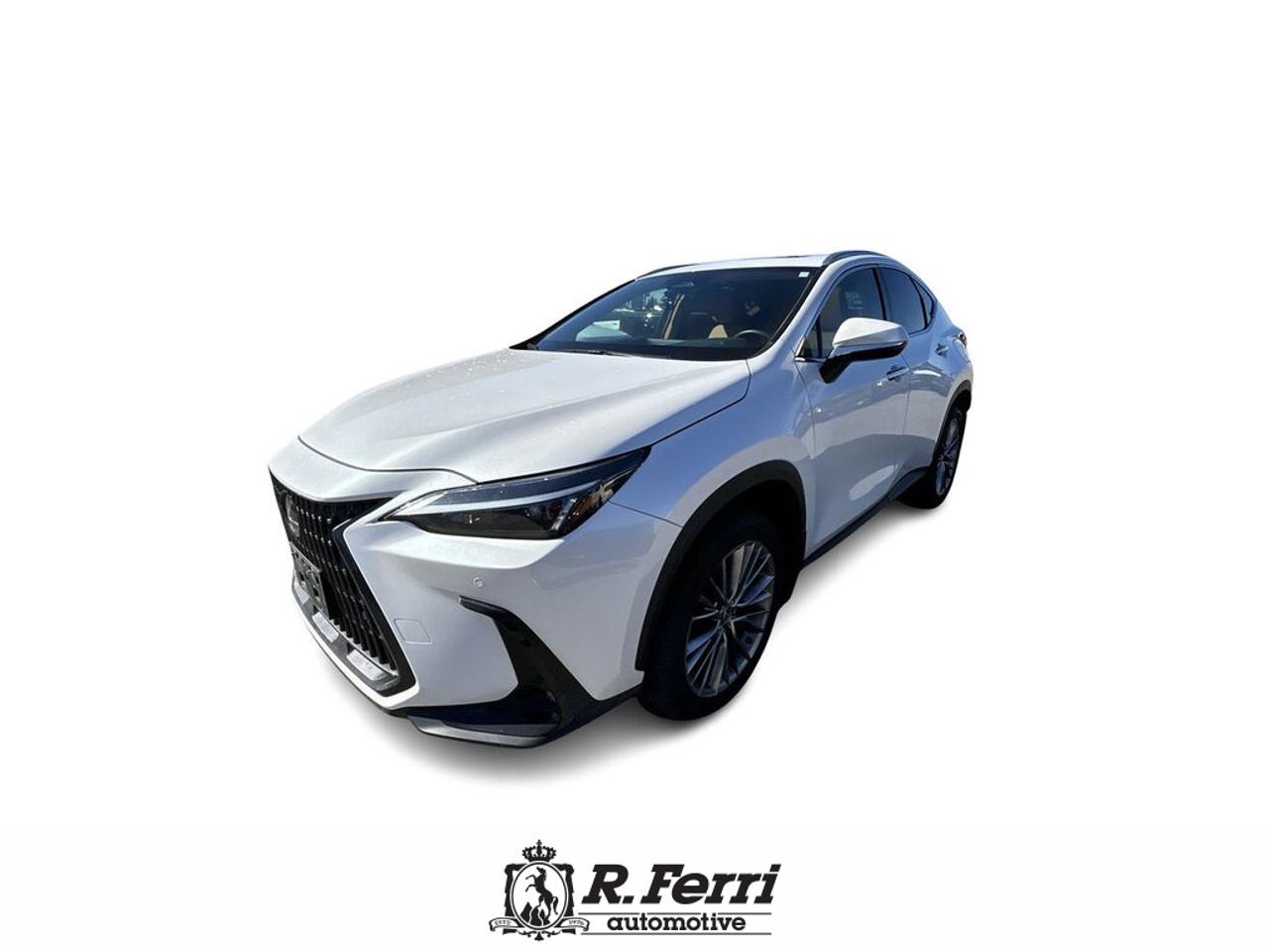 2022 Lexus NX 350  Photo