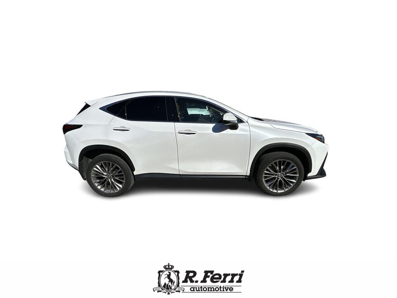 2022 Lexus NX 350  Photo