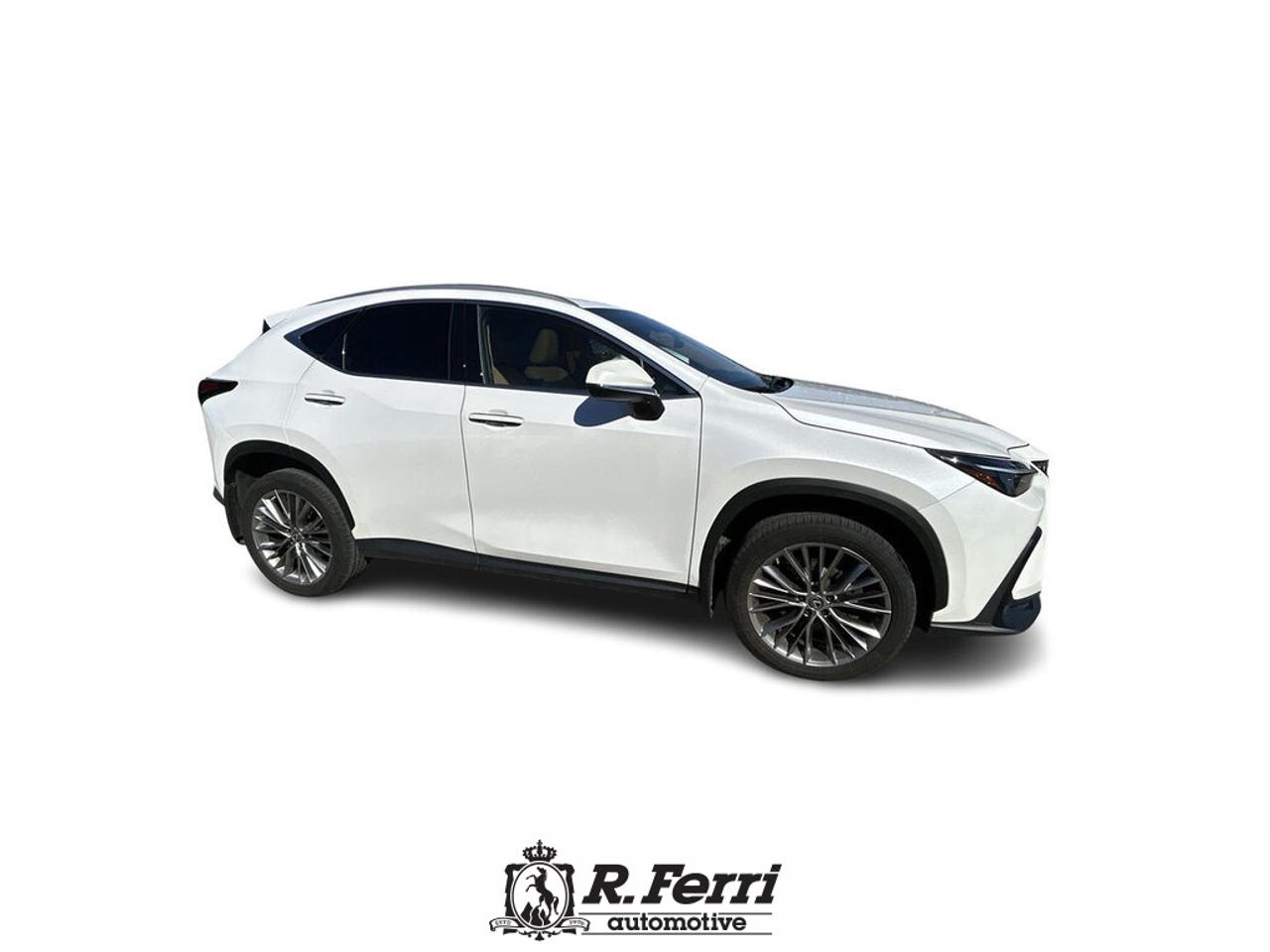 2022 Lexus NX 350  Photo