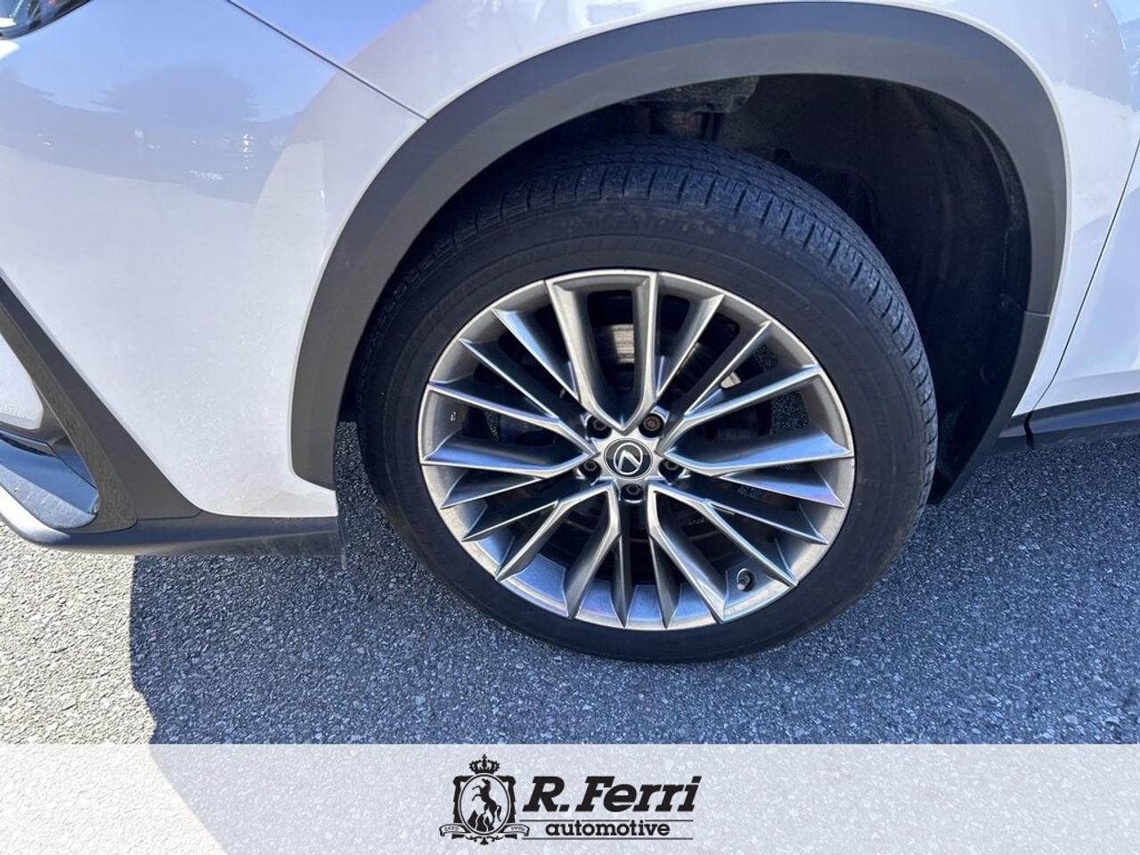 2022 Lexus NX 350  Photo