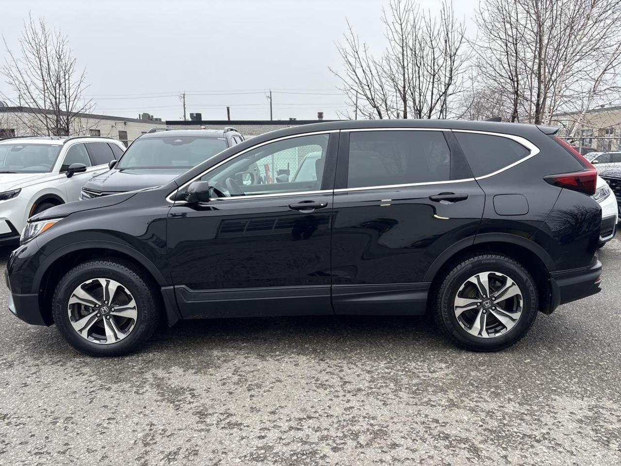 2021 Honda CR-V LX Honda Certified With 7YRS/160K Warranty Photo4