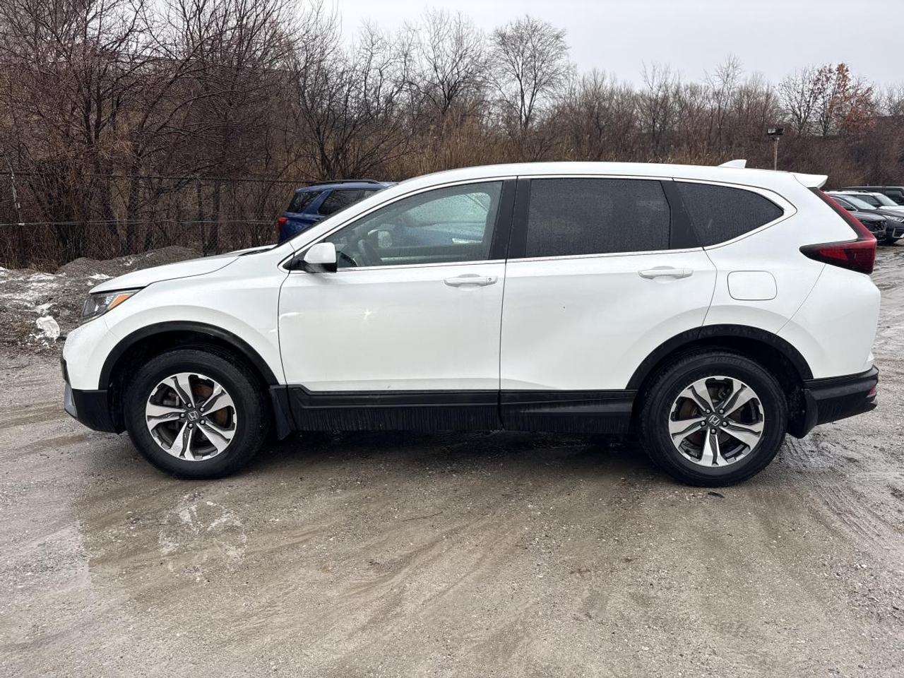 2021 Honda CR-V LX AWD Clean Carfax/One Owner Photo
