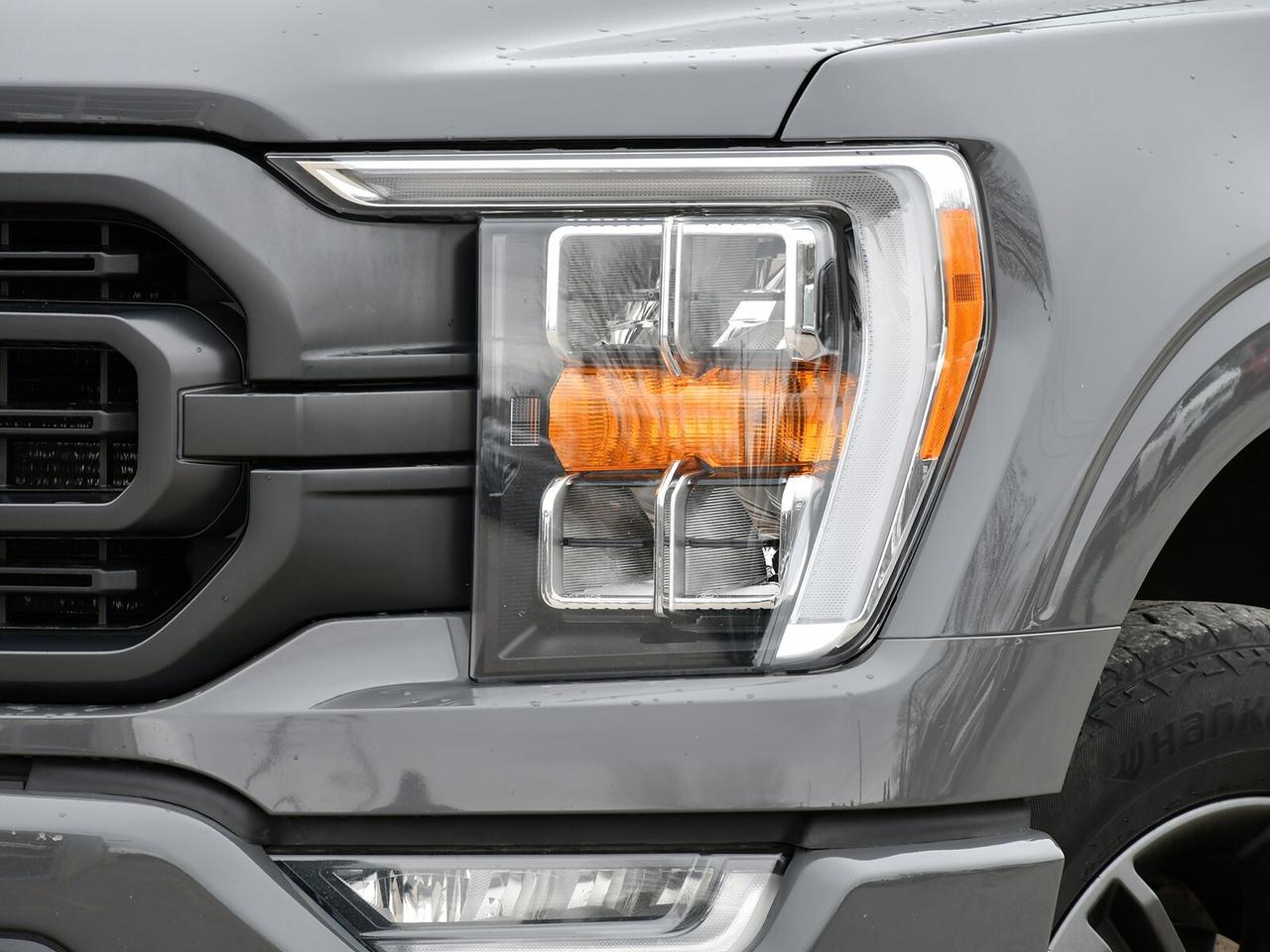 2021 Ford F-150 5.0L   4x4   Great Value Photo