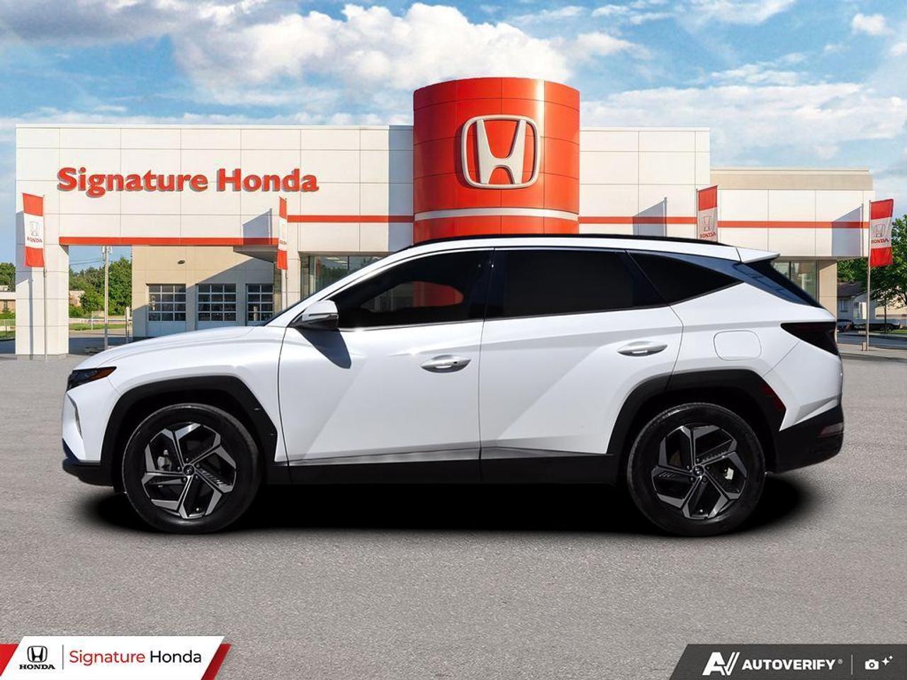 2023 Hyundai Tucson Hybrid Luxury Photo