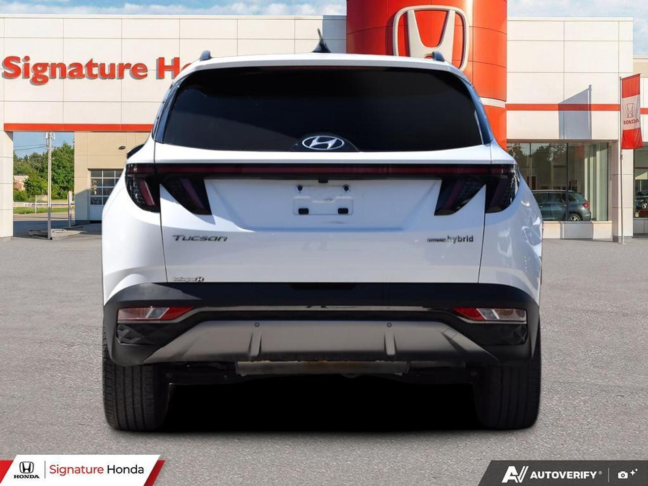 2023 Hyundai Tucson Hybrid Luxury Photo