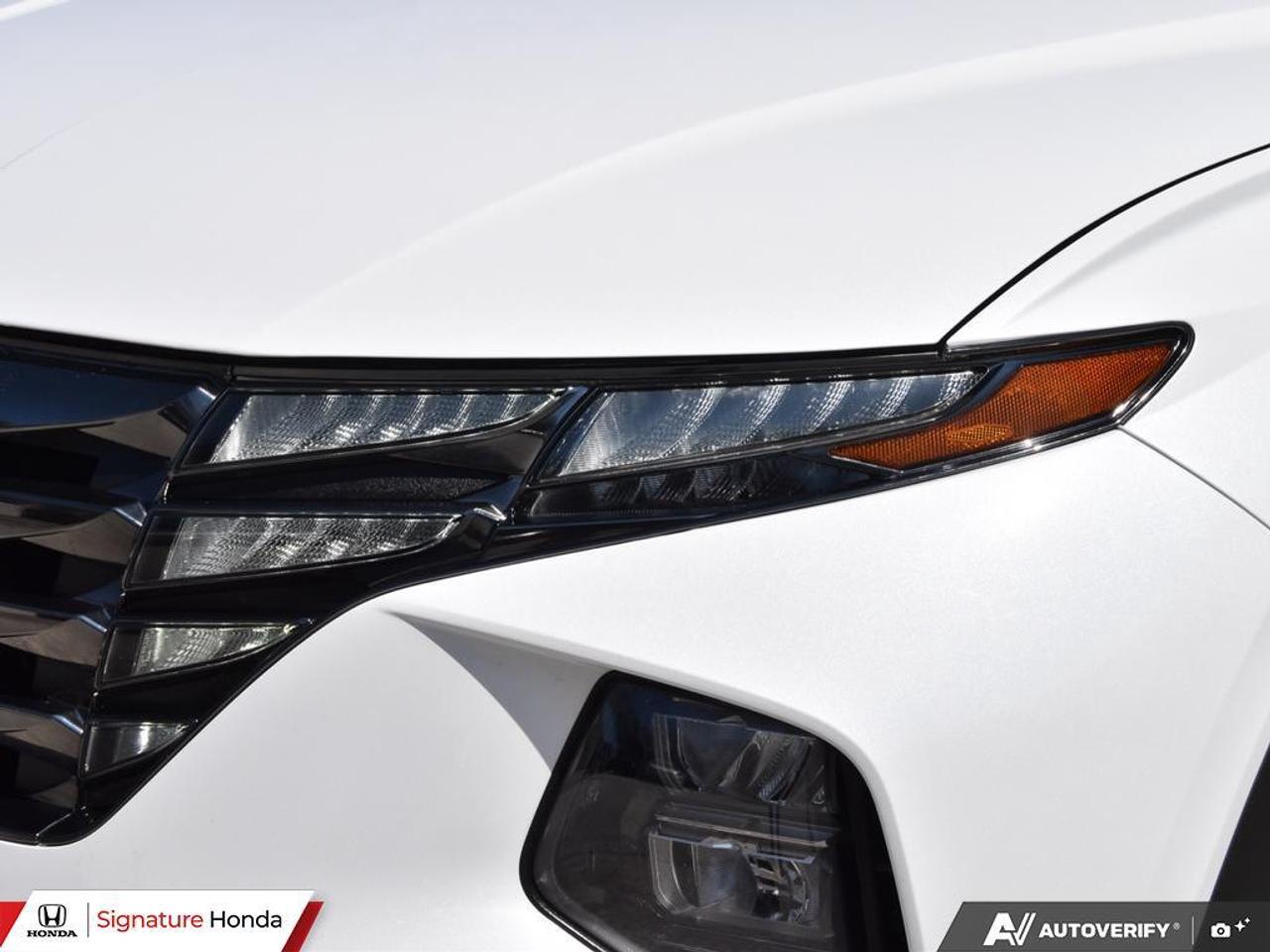 2023 Hyundai Tucson Hybrid Luxury Photo