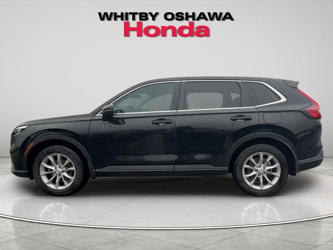 2023 Honda CR-V EX-L AWD Photo