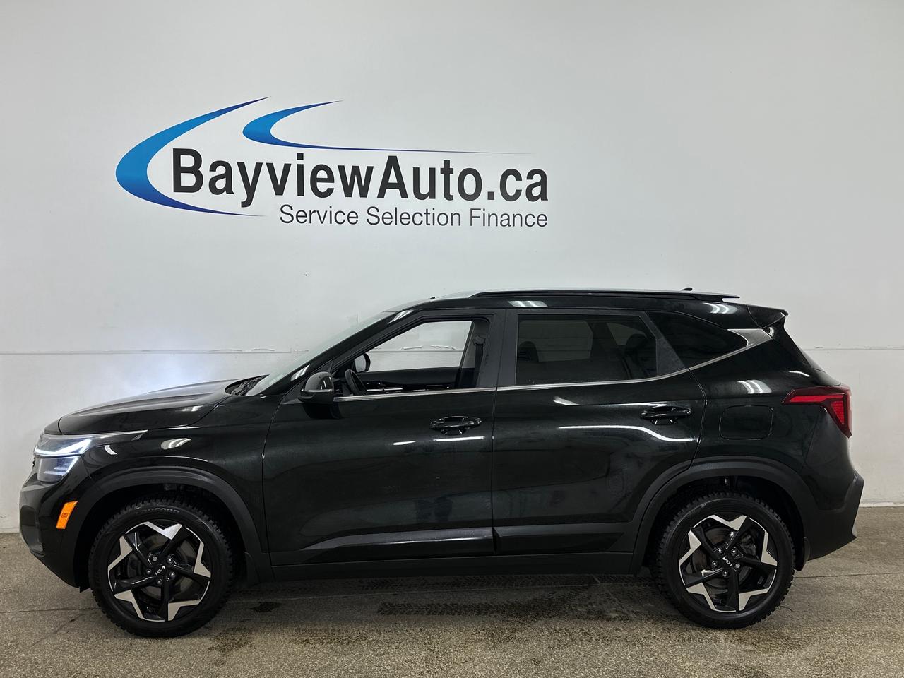 2024 Kia Seltos EX 4dr All-Wheel Drive Photo