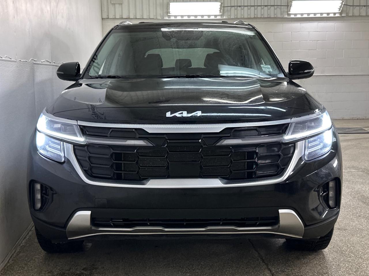 2024 Kia Seltos EX 4dr All-Wheel Drive Photo