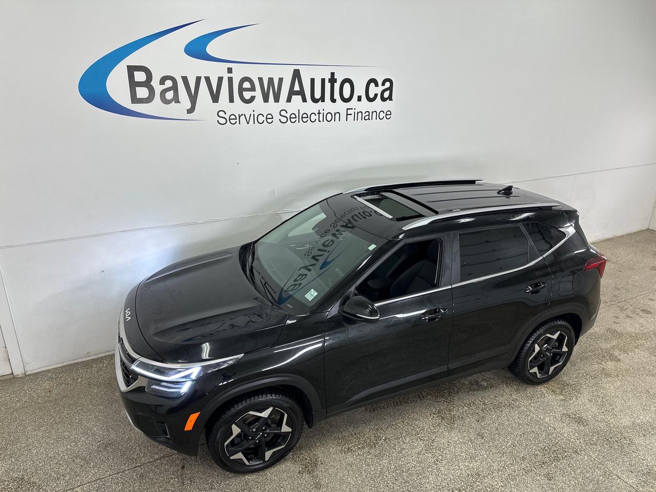2024 Kia Seltos EX 4dr All-Wheel Drive Photo