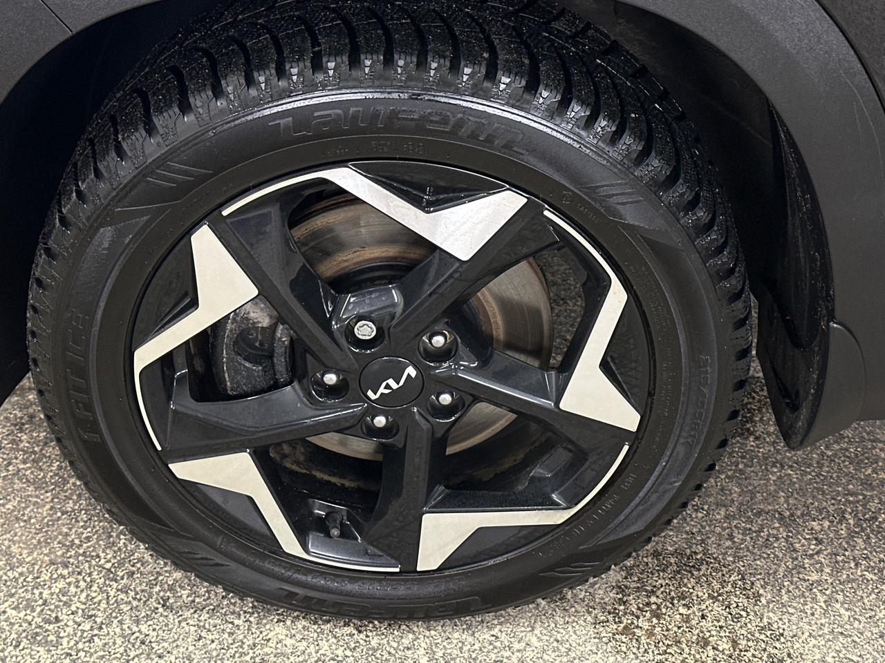 2024 Kia Seltos EX 4dr All-Wheel Drive Photo