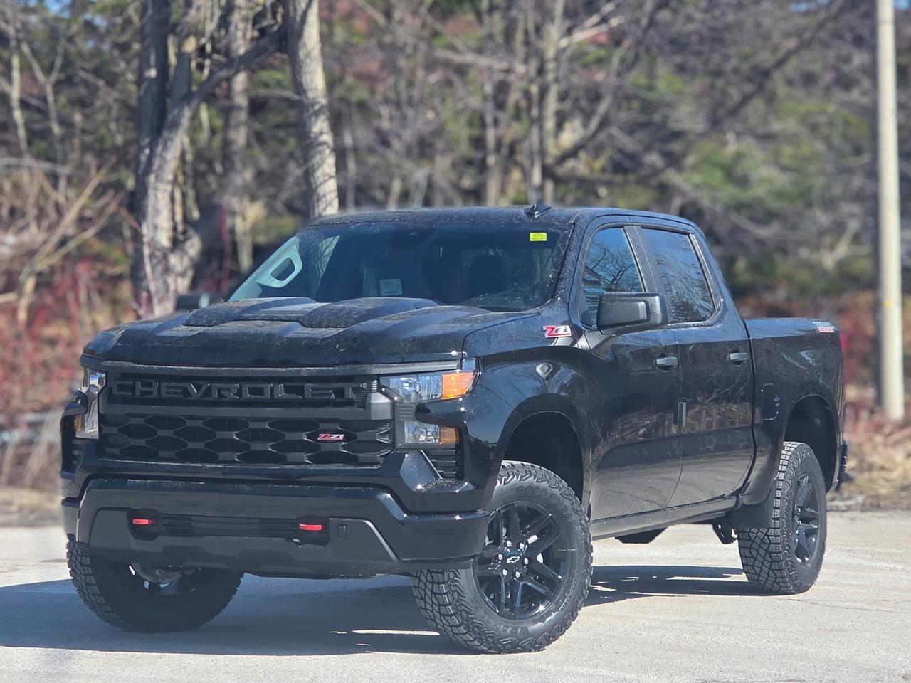 2026 Chevrolet Silverado 1500 Custom Trail Boss Photo