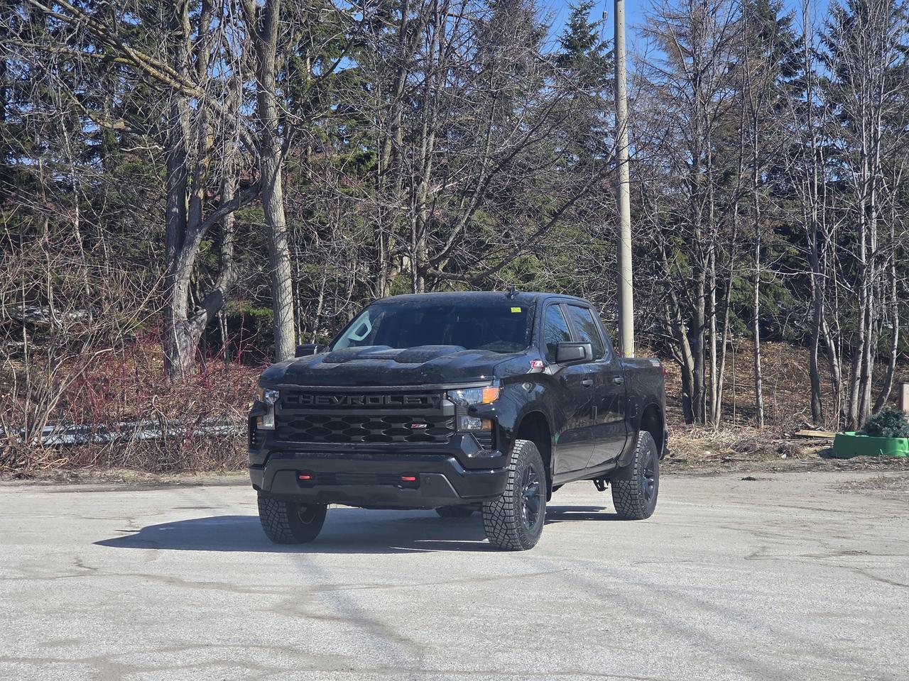 2026 Chevrolet Silverado 1500 Custom Trail Boss Photo