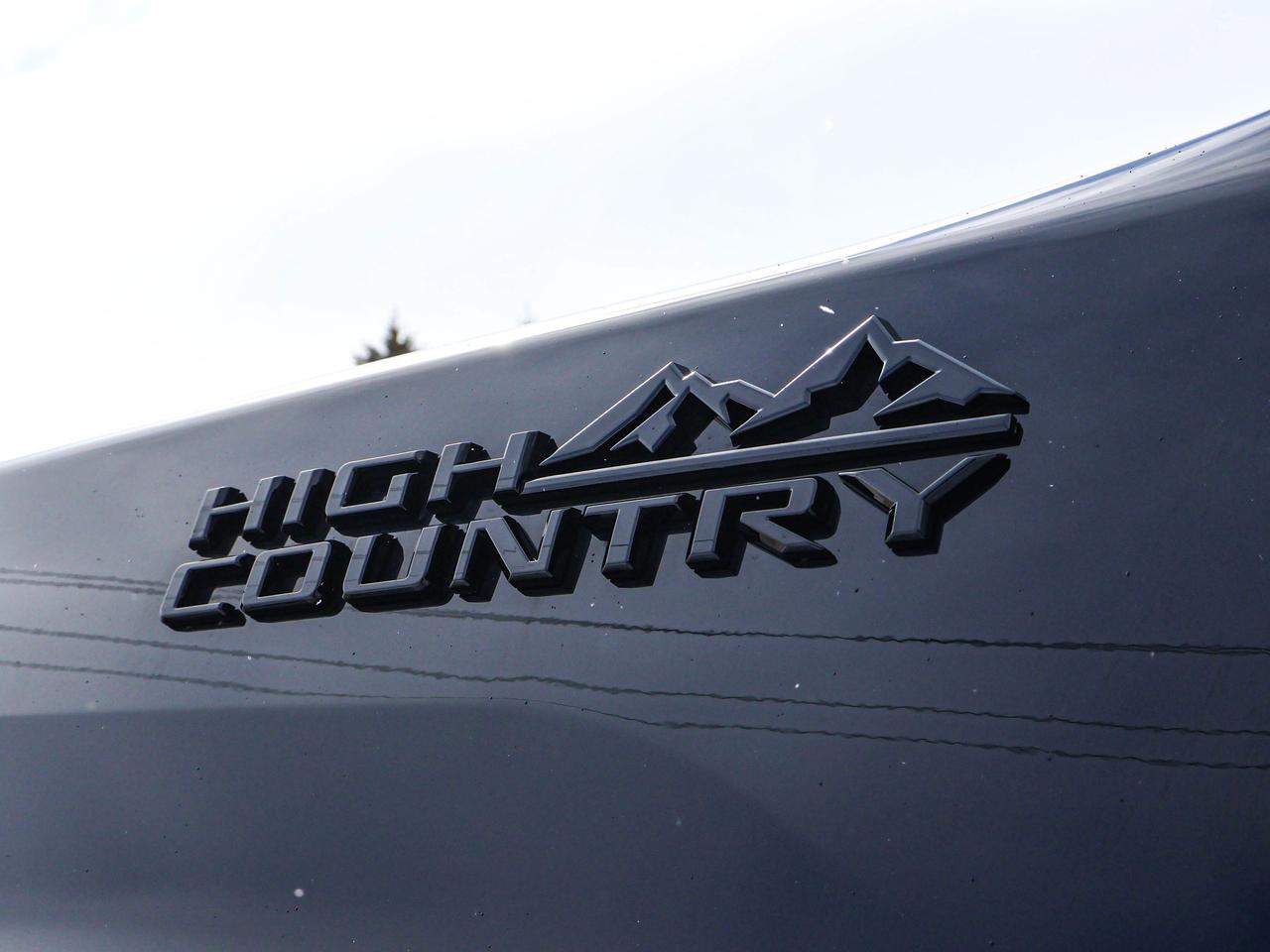 2024 Chevrolet SILVERADO 2500HD High Country Photo