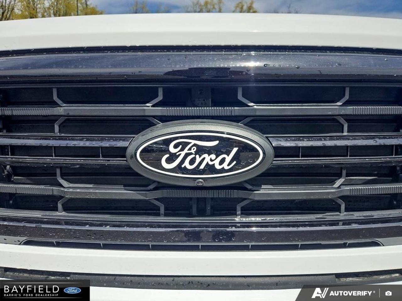 2026 Ford F-150 XLT Photo