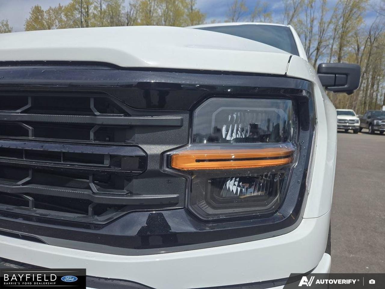 2026 Ford F-150 XLT Photo