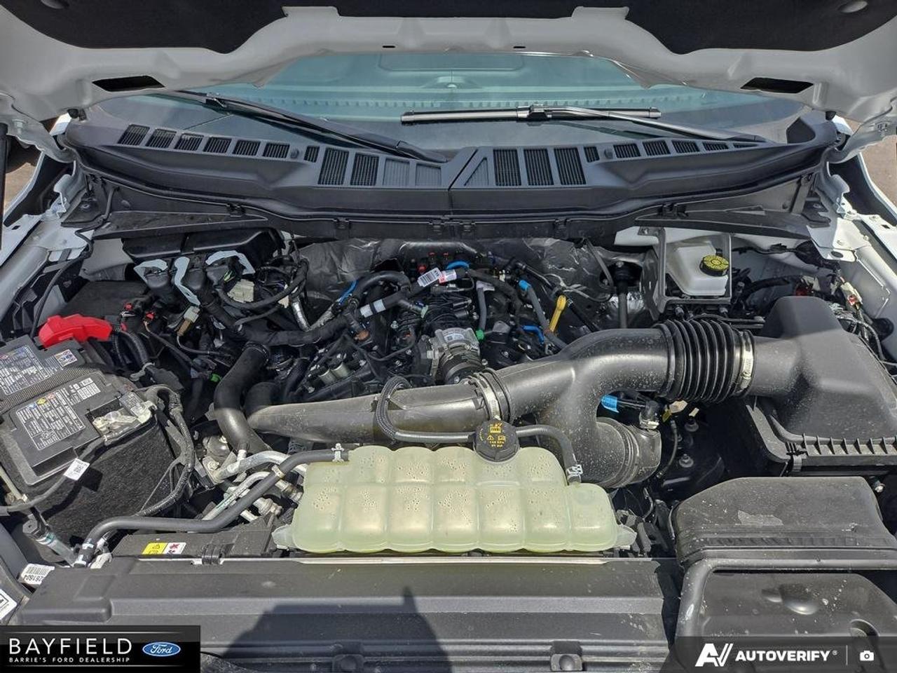 2026 Ford F-150 XLT Photo