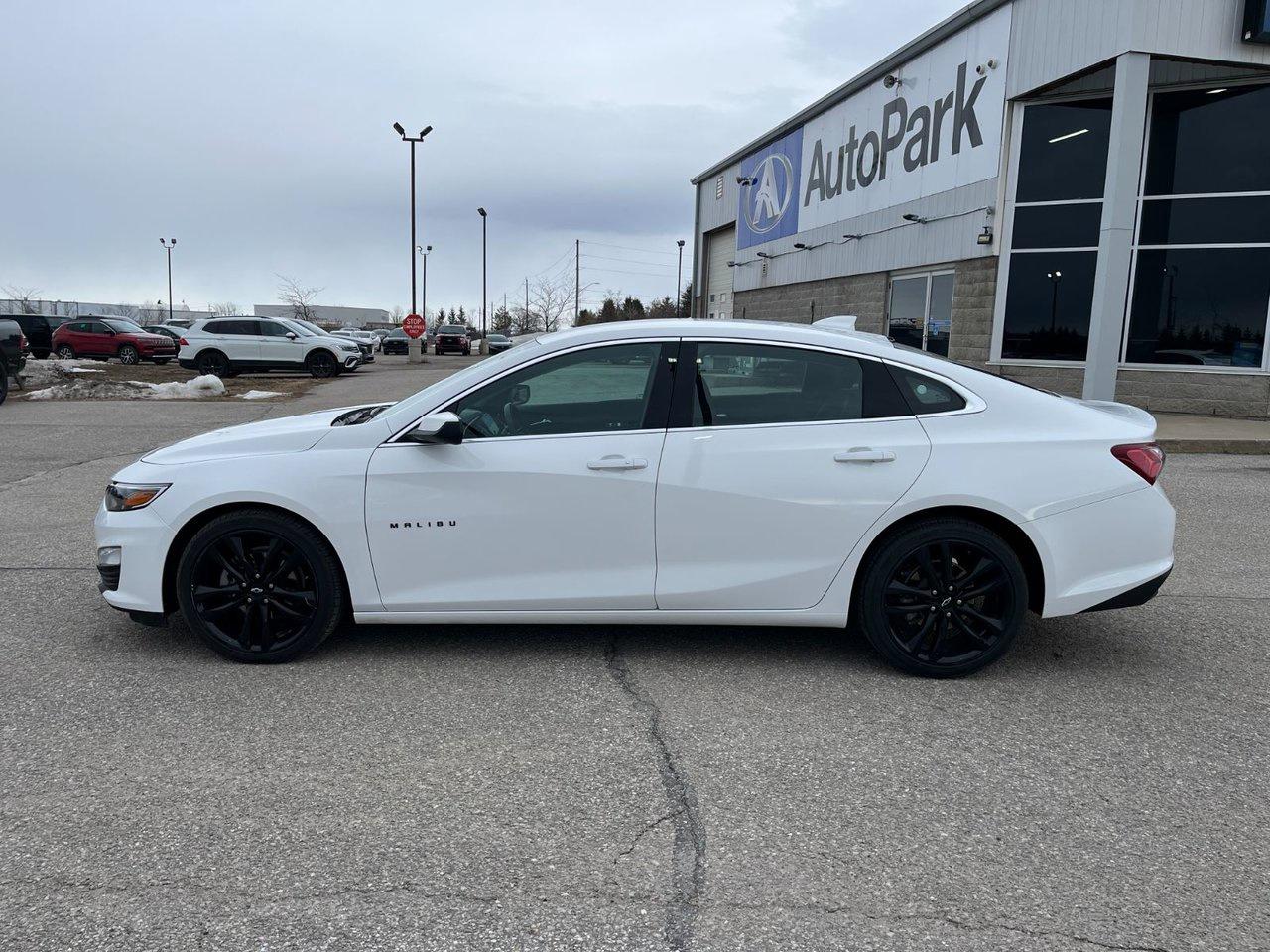 2024 Chevrolet Malibu 4DR SDN 1LT Photo
