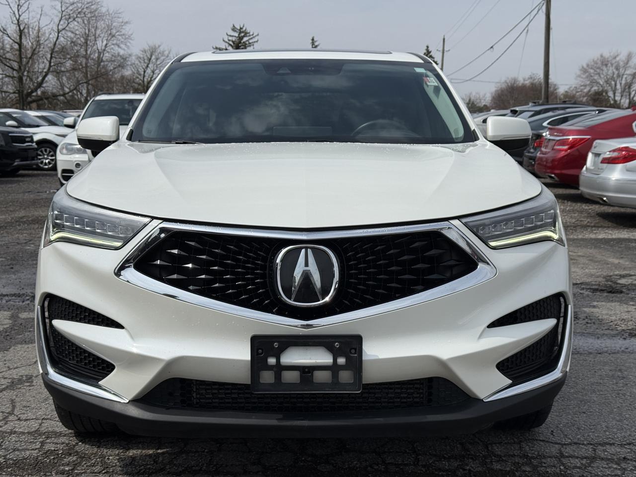 2019 Acura RDX  Photo