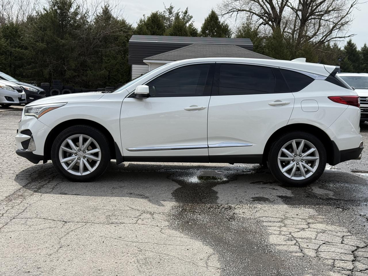 2019 Acura RDX  Photo