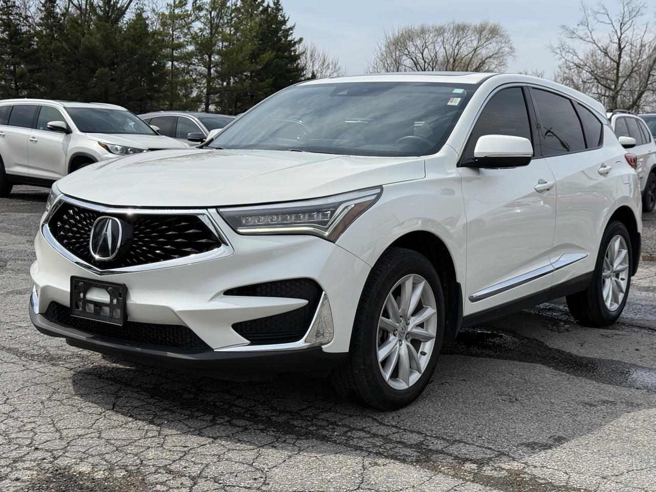 2019 Acura RDX  Photo