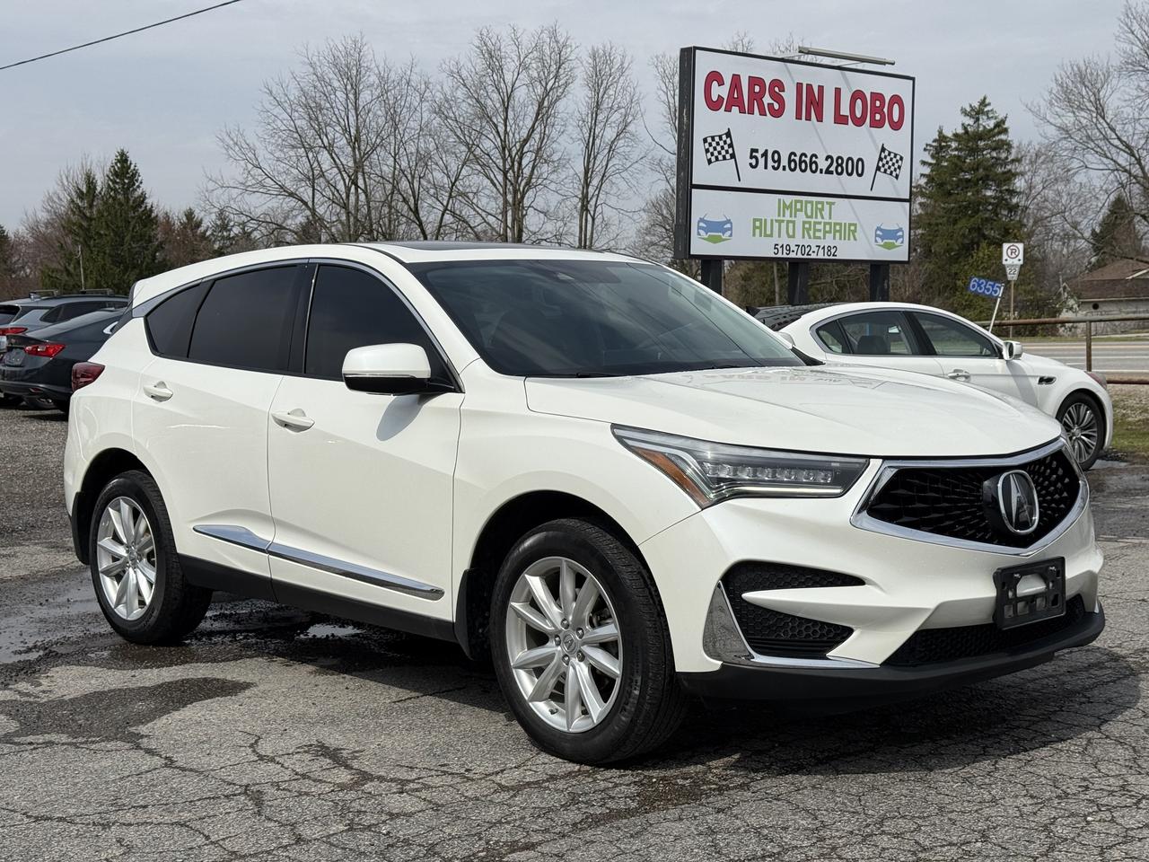 2019 Acura RDX  Photo0