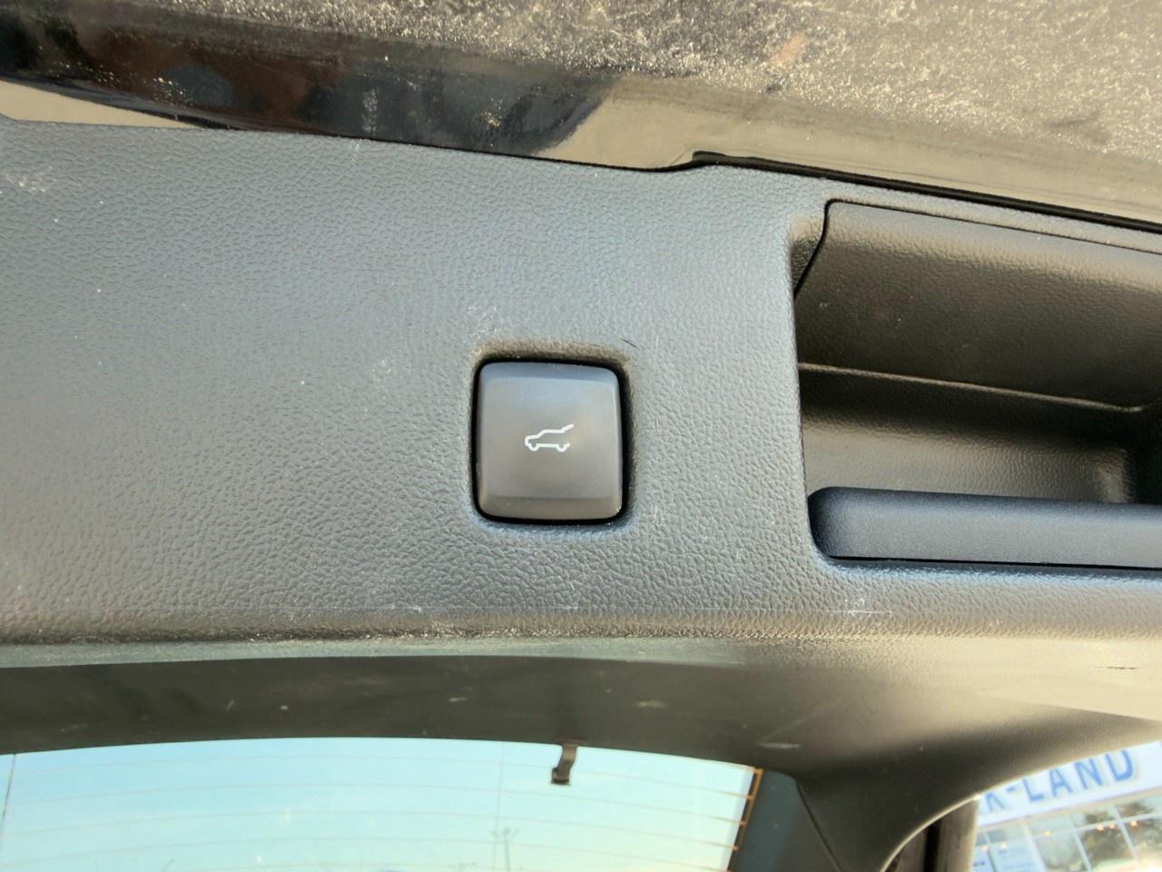 2023 Ford Escape ST-Line 300A|COLD WEATHER PK|TECH 1 PK|NO ACCIDENTS|1 OWNE Photo