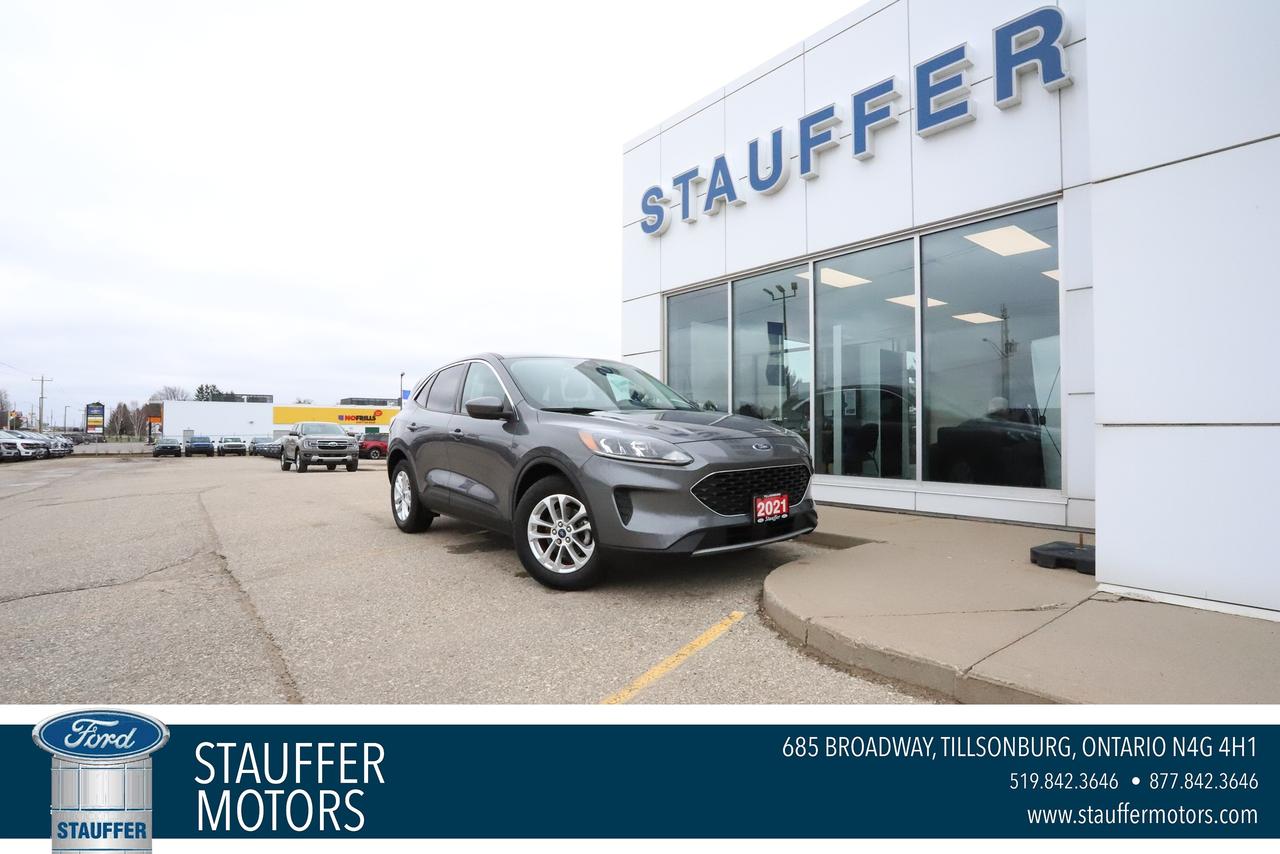 2021 Ford Escape SE FWD Photo