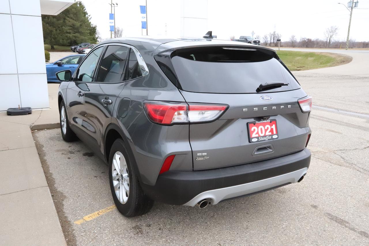 2021 Ford Escape SE FWD Photo
