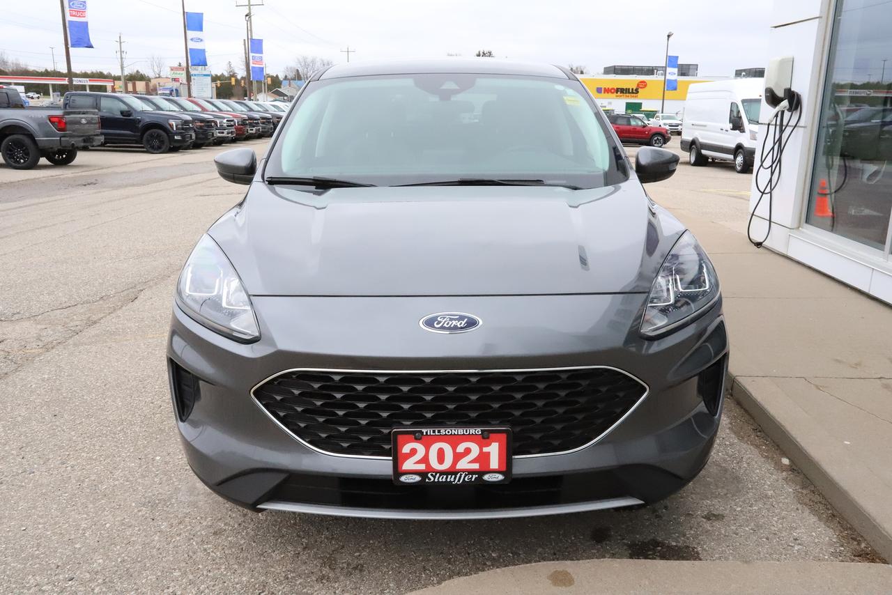 2021 Ford Escape SE FWD Photo