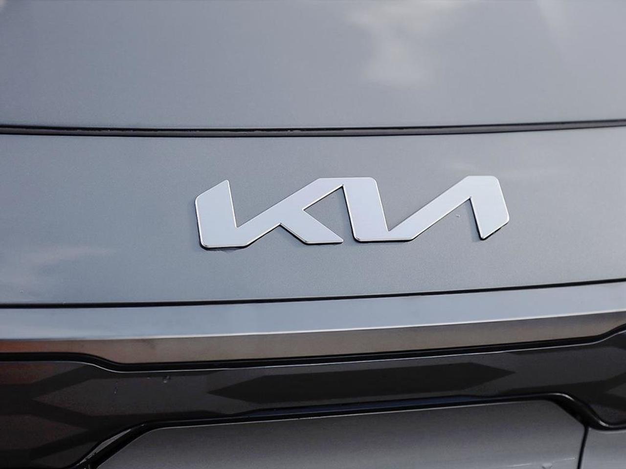 2026 Kia NIRO EV WAVE Photo