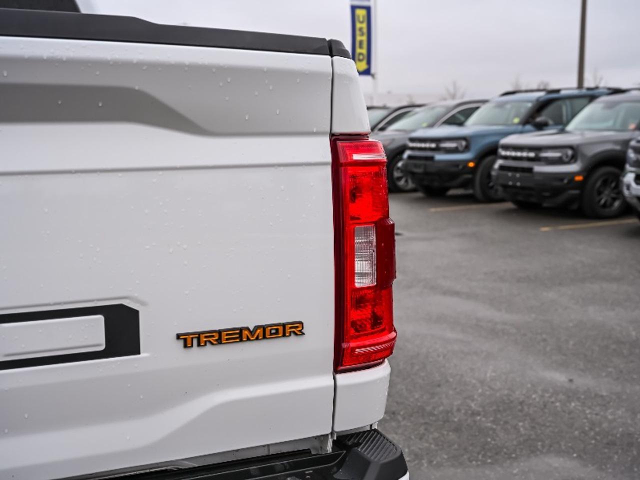 2022 Ford F-150 Tremor Photo