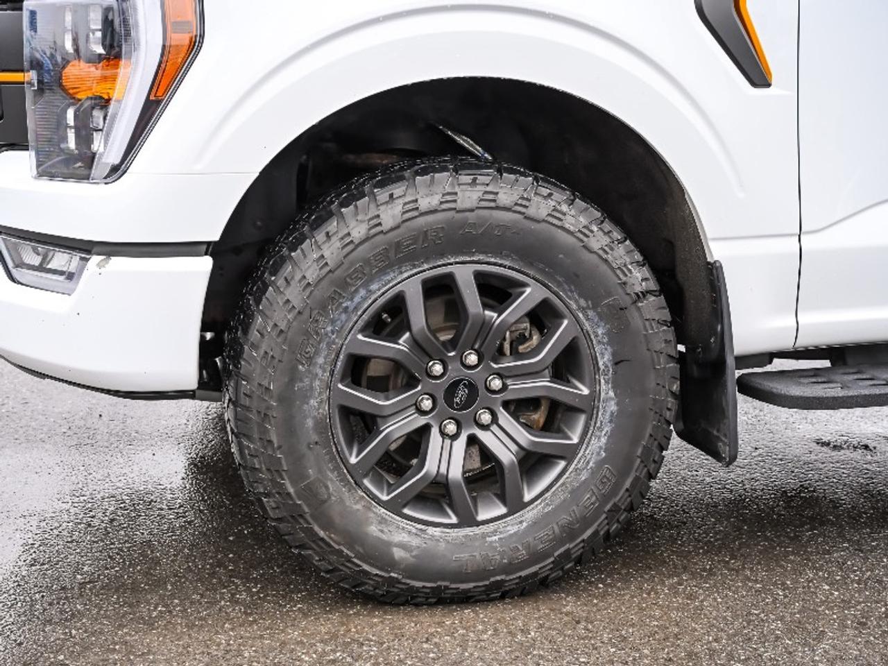 2022 Ford F-150 Tremor Photo