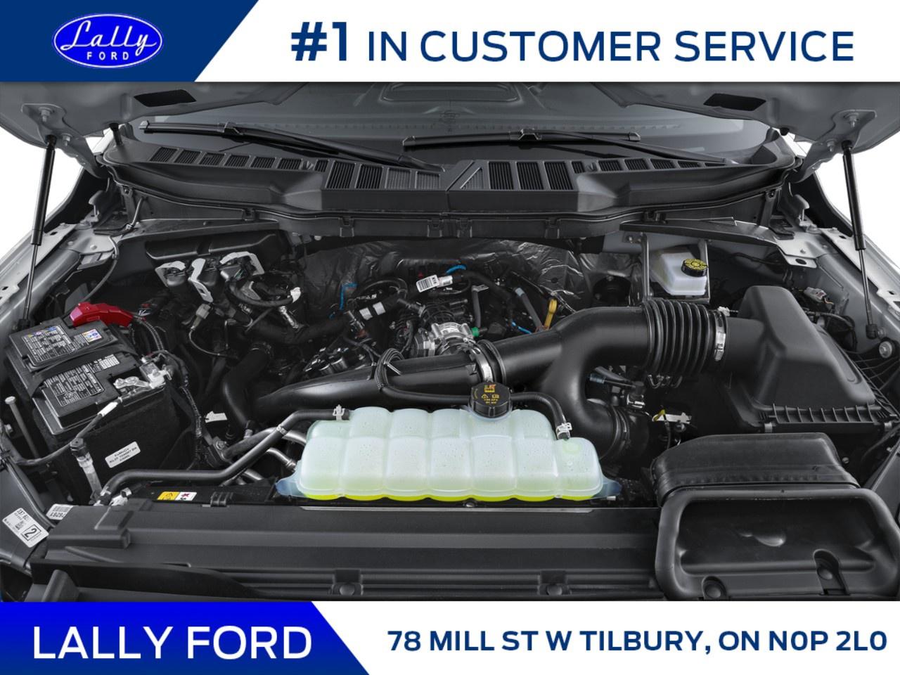 2026 Ford F-150 XLT 4WD SuperCrew 6.5' Box Photo