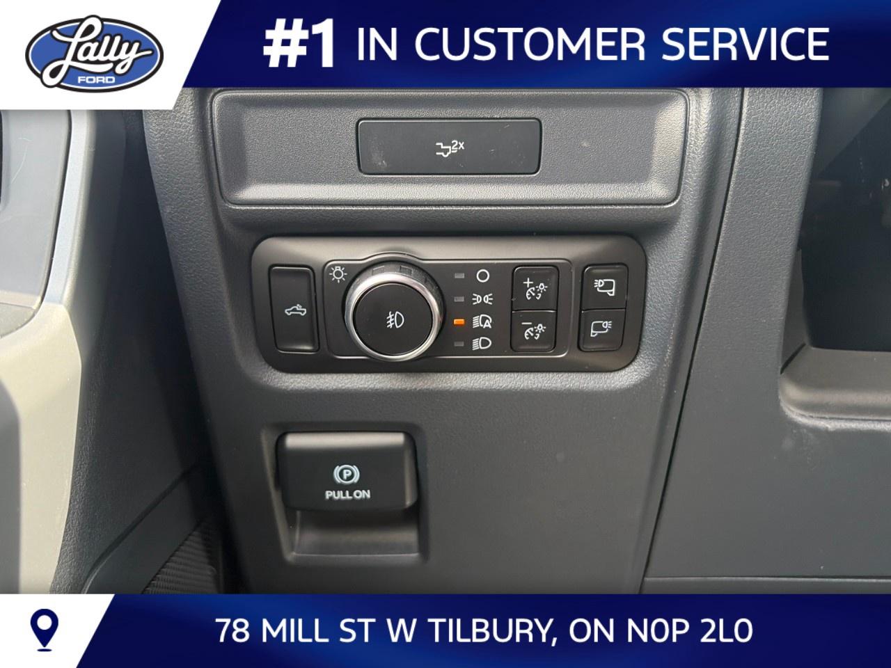 2026 Ford F-150 XLT 4WD SuperCrew 6.5' Box Photo