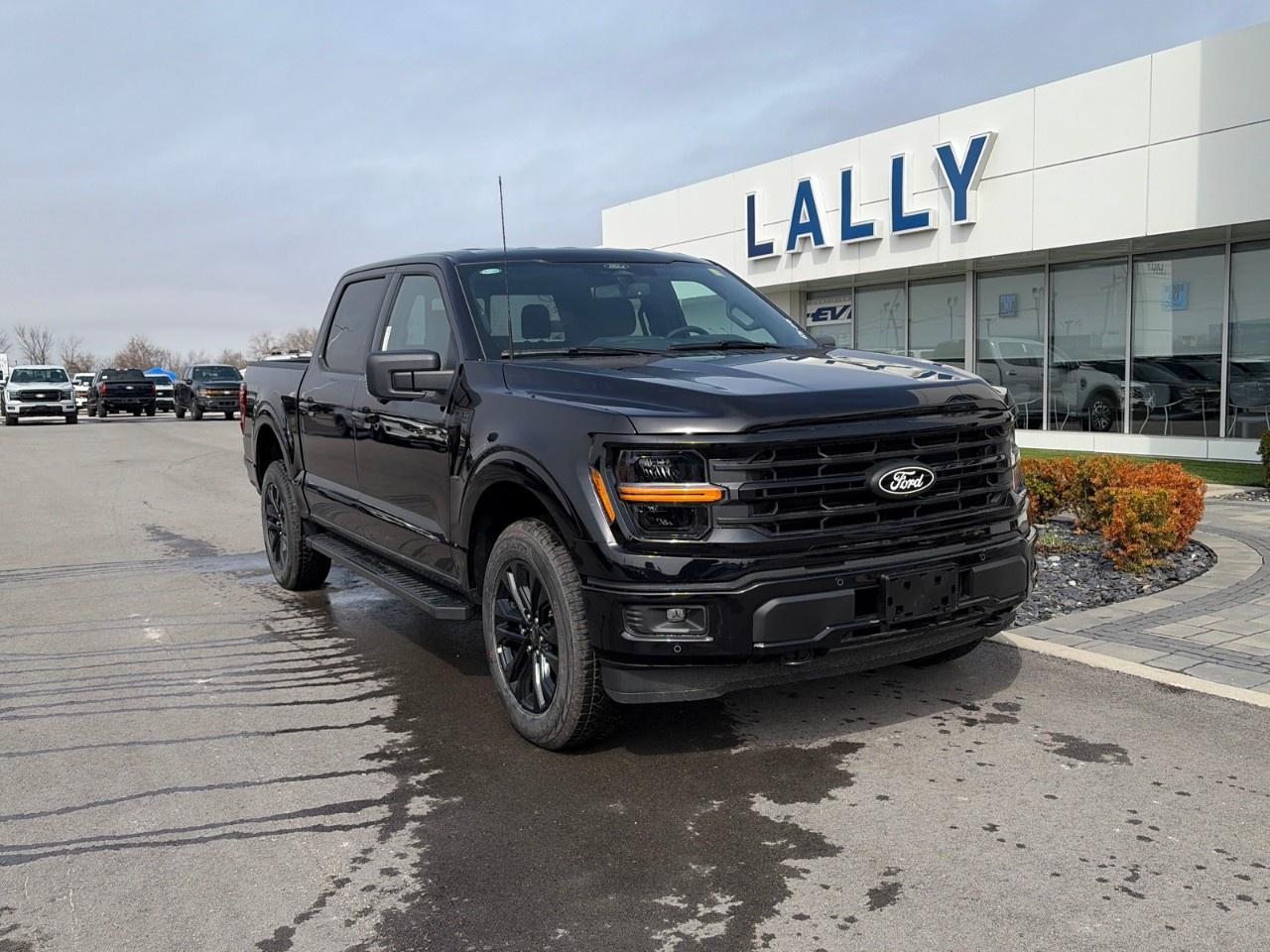 2026 Ford F-150 XLT 4WD SuperCrew 5.5' Box Photo